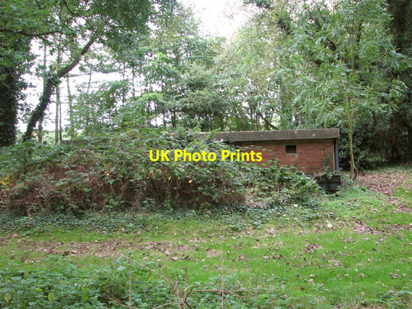 Photo 6"x4" HAA gun battery West End\/TG4911 c2014 P1