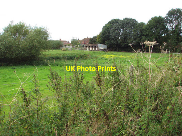 Photo 6"x4" Pasture south of Runham Road Runham c2014