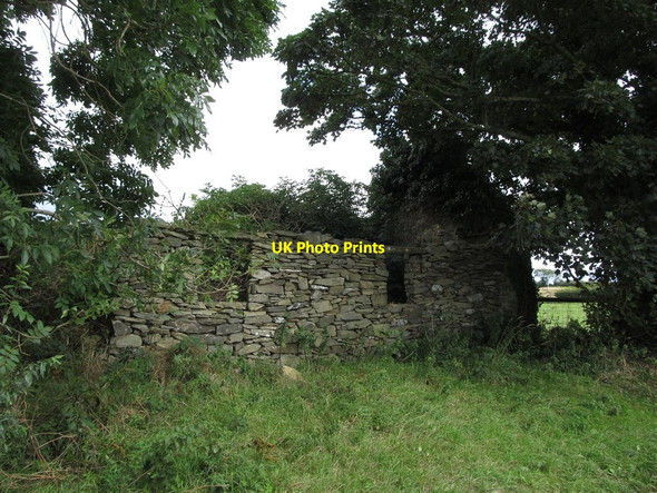 Photo 6"x4" Ruined cottage on Ballysallagh Road Saul\/J5046 c2014