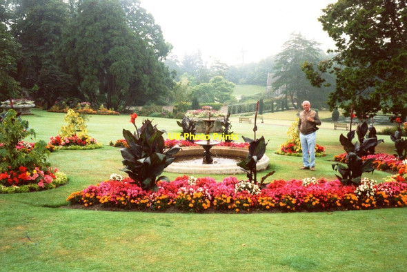 Photo 6"x4" Bicton Park Botanical Gardens North Star c1988