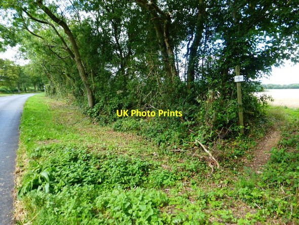 Photo 6"x4" Footpath junction on The Avenue Golden Pot c2014