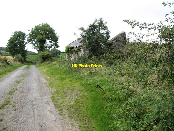 Photo 6"x4" Ruined farm buildings on the Ballysallagh Road Saul\/J5046 c2014