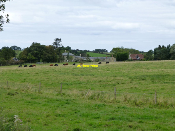 Photo 6"x4" Muckley Farm Longhorsley c2014