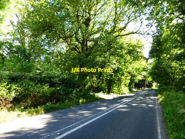 Photo 6"x4" Looking south on New Odiham Road Golden Pot c2014