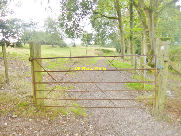 Photo 6"x4" Godshill, gate Godshill\/SU1714 c2014