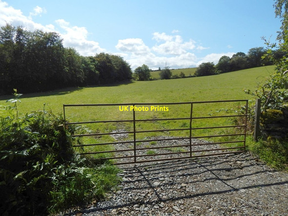Photo 6"x4" Field gate Alexandria c2014