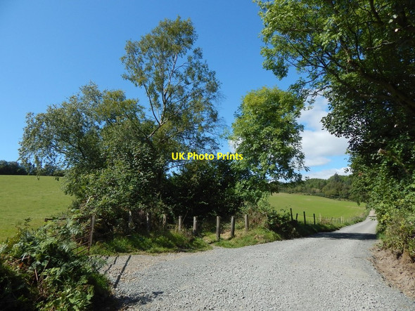 Photo 6"x4" Track to Upper Dalquhurn Farm Alexandria c2014