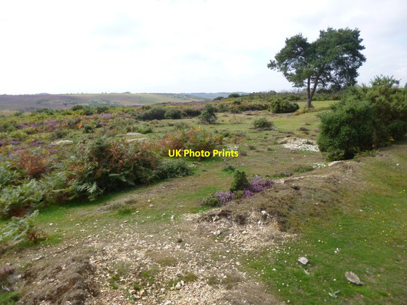 Photo 6"x4" Deadman Hill, former gravel pits Bohemia\/SU2019 c2014