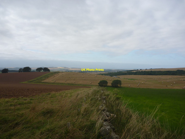 Photo 6"x4" East Lothian Landscape : Field Boundary Near Chesters farm Carfrae\/NT5769 c2014