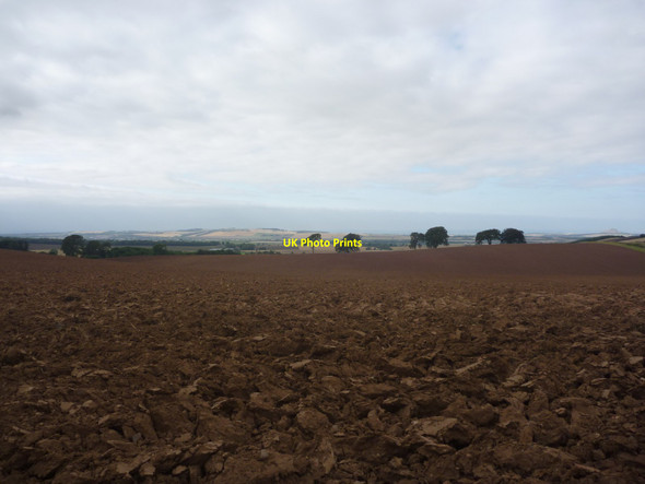 Photo 6"x4" East Lothian Landscape : Heavy Horses Carfrae\/NT5769 c2014