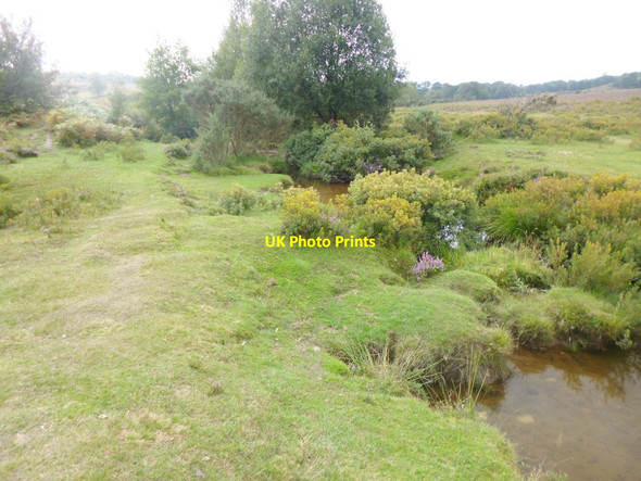 Photo 6"x4" Millersford Brook Woodgreen\/SU1717 c2014