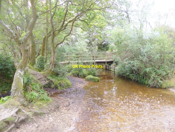 Photo 6"x4" Godshill, footbridge Woodgreen\/SU1717 c2014