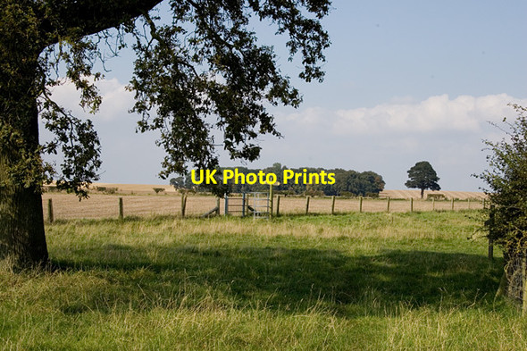 Photo 6"x4" Bracken field, (E Yorks) Cawkeld c2014