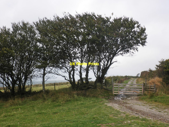 Photo 6"x4" Two Gates Swincombe c2014