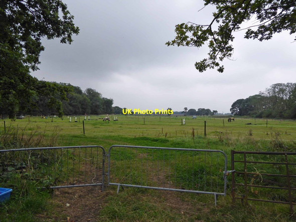 Photo 6"x4" Riding school paddock Cleethorpes c2014