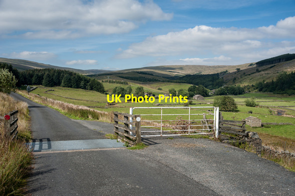Photo 6"x4" Cattle Grid and Cotterdale Cotterdale c2014