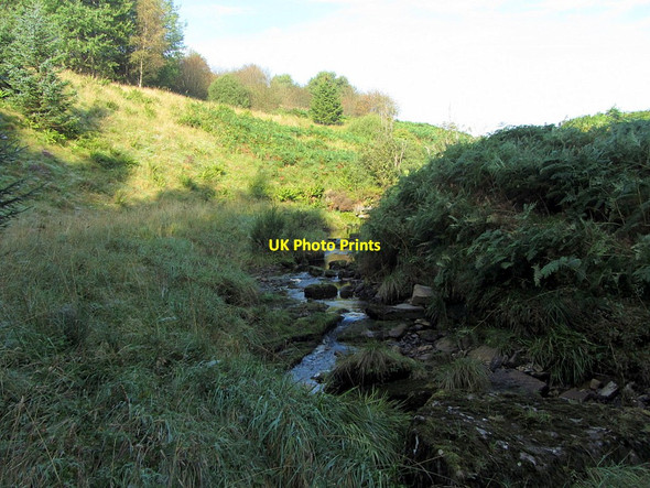 Photo 6"x4" Following the Border along Bells Burn Kielder c2014