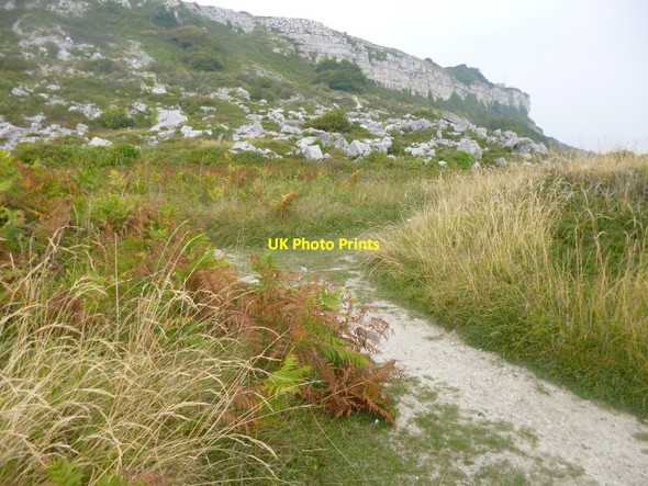 Photo 6"x4" Grove, path junction Fortuneswell c2014