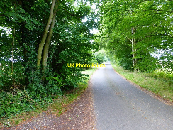 Photo 6"x4" Looking southwards on Wood Hill Lane Long Sutton\/SU7347 c2014