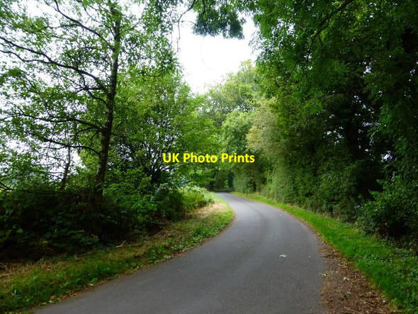 Photo 6"x4" Bend on Wood Hill Lane Long Sutton\/SU7347 c2014