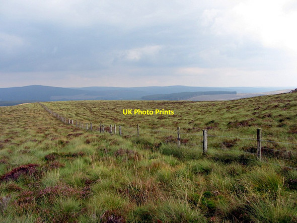 Photo 6"x4" Fence along Larriston Fells Larriston c2014 P1