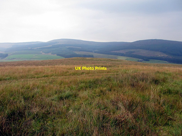Photo 6"x4" White Knowe from Thorlieshope Pike Saughtree c2014