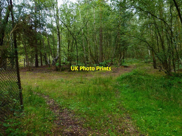 Photo 6"x4" Bridleway reaches end of enclosure on left Bramshill c2014
