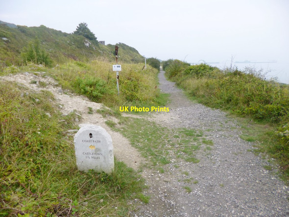 Photo 6"x4" Grove, marker Fortuneswell c2014