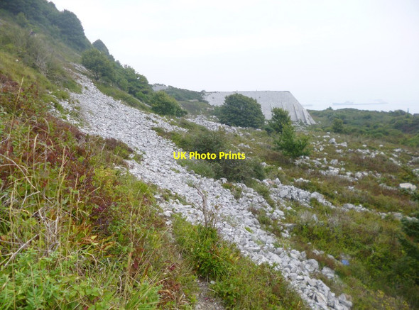 Photo 6"x4" Grove, scree Fortuneswell c2014