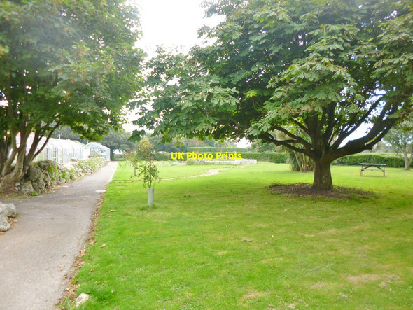 Photo 6"x4" Grove, garden Fortuneswell c2014