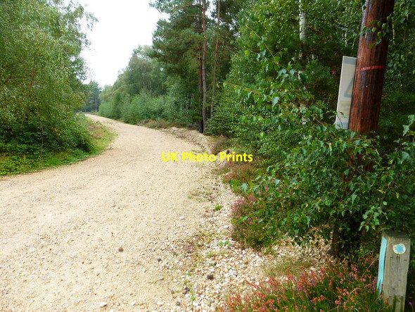 Photo 6"x4" Bend on The Welsh Drive Eversley Centre c2014