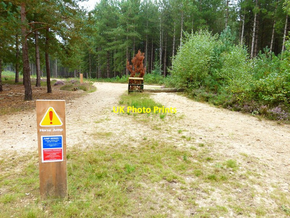 Photo 6"x4" Horse jump with grid reference Hazeley Heath c2014