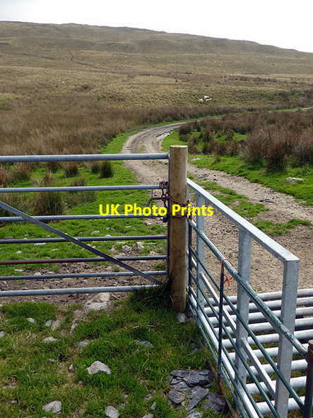 Photo 6"x4" Locked gate on the bridleway to Llechwydd-mawr Nant y March c2014