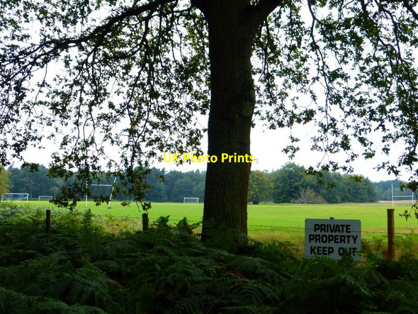 Photo 6"x4" Five goal posts in Bramshill Park Lower Common\/SU7662 c2014