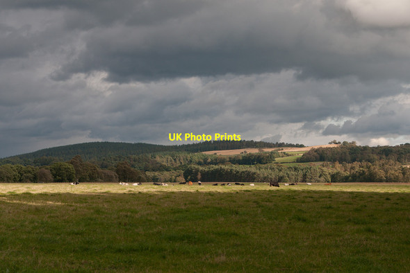 Photo 6"x4" Fields at The Haughs of Birse Birse c2014
