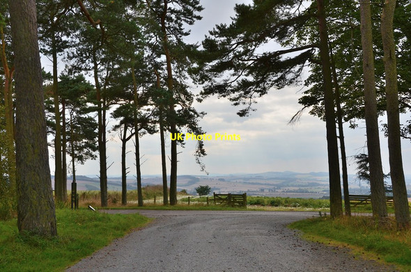 Photo 6"x4" Exit from car park, Bowmont Forest Heiton c2014