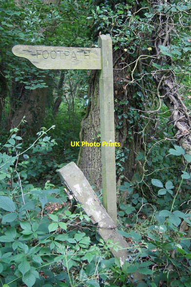 Photo 6"x4" Path to Berrydown Farm Overton\/SU5149 c2014