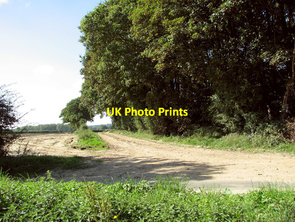 Photo 6"x4" Farm track south of Tuttington Plantation Aylsham c2014