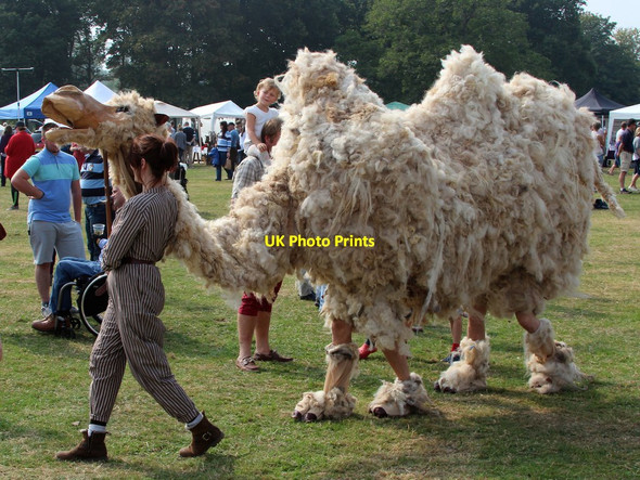 Photo 6"x4" War Camel, Hole Park Beacon Hill\/TQ8232 c2014