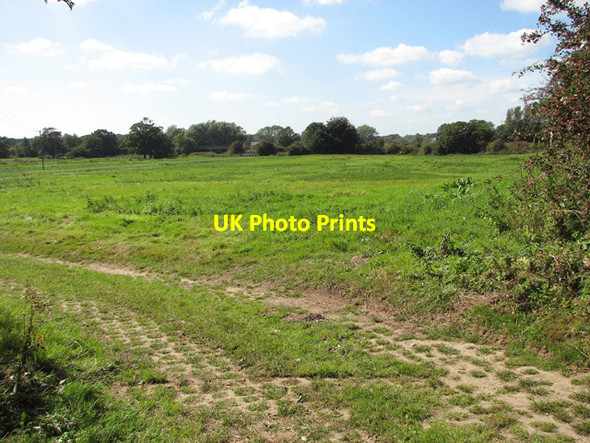 Photo 6"x4" Pasture south of Tuttington Road Aylsham c2014