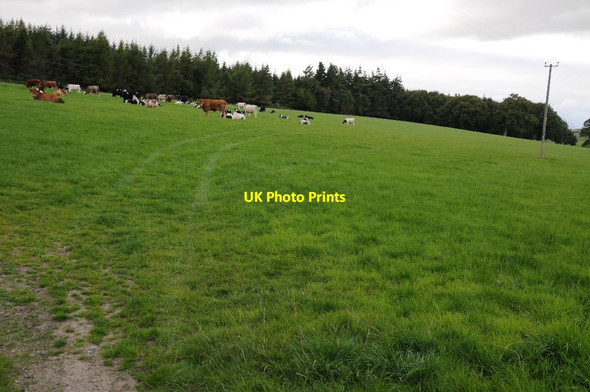 Photo 6"x4" Field opposite The Nursery Hendre-ddu c2014