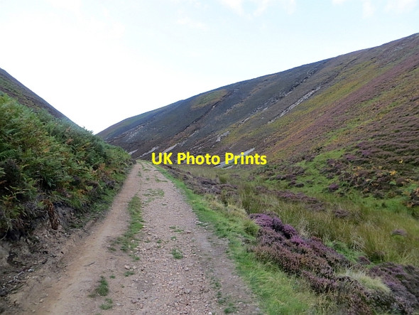 Photo 6"x4" Green Cleugh Silverburn\/NT2060 c2014