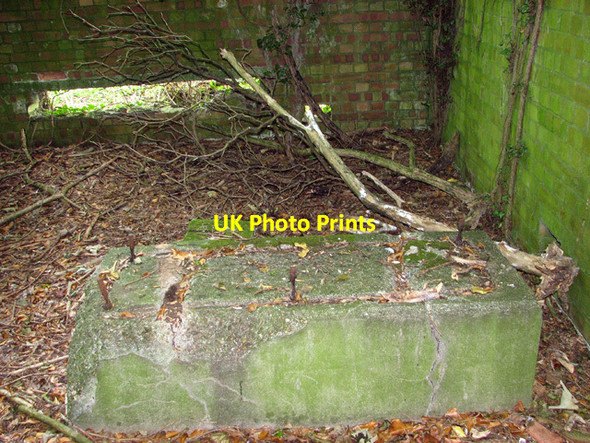 Photo 6"x4" Overgrown building in the wood ( interior) Docking c2014 P1