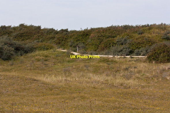 Photo 6"x4" Path through the nature reserve Holme next the Sea c2014