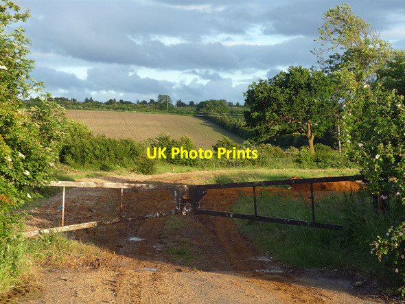 Photo 6"x4" Farmland near Tilsworth Houghton Regis c2012