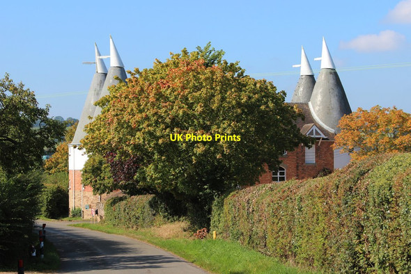 Photo 6"x4" The Hop Kilns, Suckley Suckley c2014