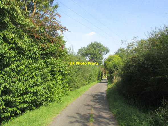 Photo 6"x4" Vicarage Lane, Mark Mark\/ST3847 c2014
