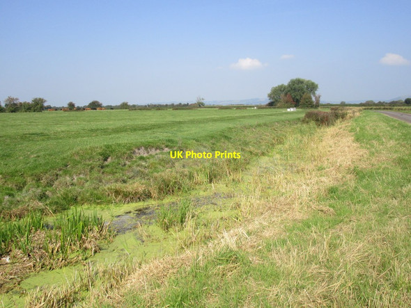 Photo 6"x4" Alongside Pill Road Vole c2014
