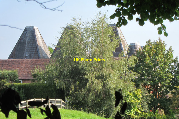 Photo 6"x4" The Oast Houses, Leigh Brockamin c2014 P1