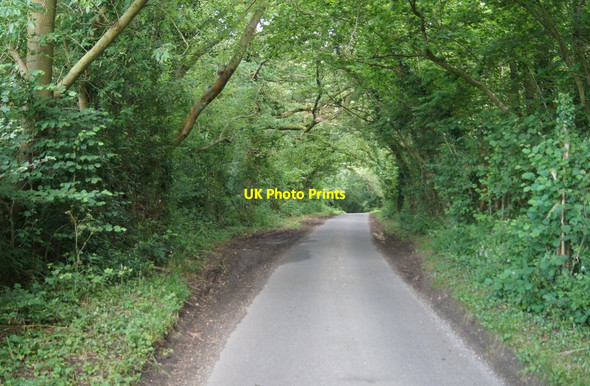 Photo 6"x4" Waltham Lane - direction North Waltham Overton\/SU5149 c2014